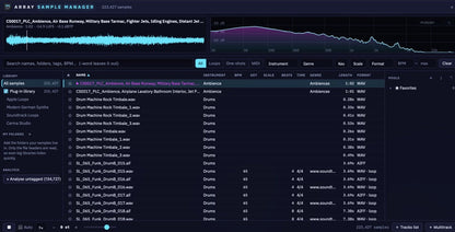 Sample Manager with analyzer