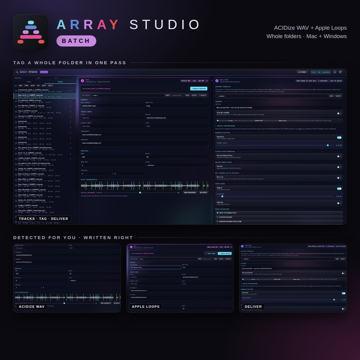 Array Studio Batch: tag a whole folder in one pass
